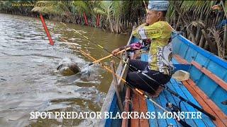 Mancing Di Spot Predator Monster Kakap Hitam di Kalimantan, Umpan Udang Galah. #mancingkakap