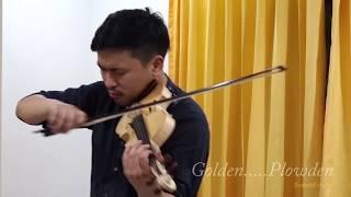 Guarneri del Gesu violin 1735 'Plowden' made by Supviol &  test by Volt Witchuporn Jingjit