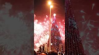 Dubai newyear celebration fairwork #shortsvideo #shortsfeed #shorts