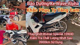 Bảo Dưỡng Xe Wave Alpha - Khắc Phục Tăng Cam, Thay Nhớt Và Kiểm Tra Nhớt Wolver Special 10W40 | XVCS