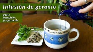 Cómo preparar infusión de Geranio | beneficios y precauciones |un té con Daniela