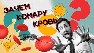 Зачем комары пьют твою кровь? Хороший Вопрос