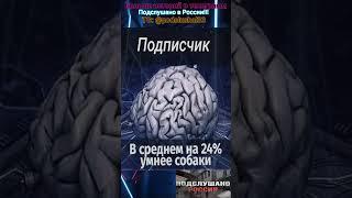 Реальный Факт из Жизни #подслушано #истории