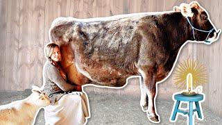A REAL Day in the Life of a Modern Homesteader
