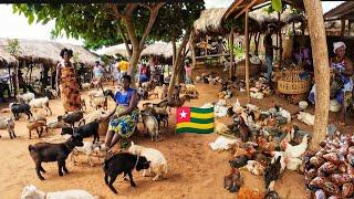 Largest rural  village market day in Vogan Togo west Africa  Cost of living in an African village