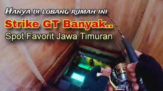 Strike ikan GT bertubi-tubi di dalam rumah idaman ||  Spot mancing favorit