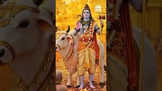 Wo lakire Badal denge Teri Bharosa karke Dekho || #bhakti #mahadev #bhajan #lord #trrndingshorts