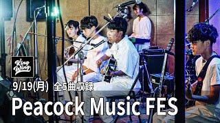 Peacock Music FES vol.2 KING-WING演奏動画