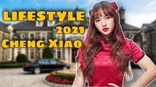 Cheng Xiao Lifestyle (Falling Into Your Smile 2021) Biography, Networth, Gar, #FactsWithBilal