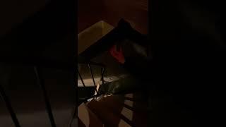 А ты думал когда строил дом как ты будешь заносить мебель?￼