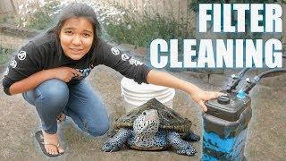 turtle tank CANISTER FILTER CLEANING