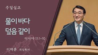 [일요주일 1부예배] 물이 바다 덮음 같이 (이사야 11:1-10)│정재욱 목사│2024.12.15 (일)