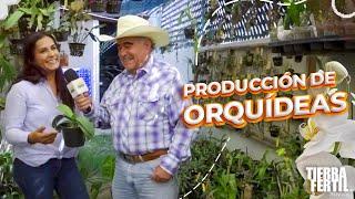 Tierra Fértil Tv- Producción de Orquídeas (25.05.24)