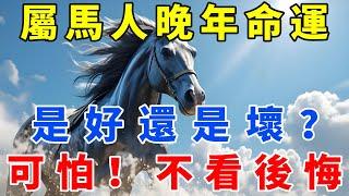 人算不如天算！屬馬人晚年命運如何？是好還是壞？太可怕了，不看後悔！【佛語禪音】#生肖 #命理 #運勢 #屬相 #風水