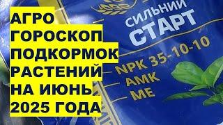 Лучшие дни для подкормки огорода в июне 2025!