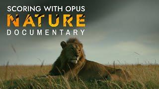 Scoring With Opus: Nature Documentary
