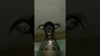 SkinWalker Disguised As Animals ️ PRT-56 #viral #ytshorts