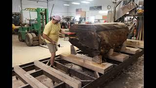 Contract Sawing 48" Burr Oak 7/5/2024 The Mill Madison Large Format Bandsaw Mill 72"x23' Capacity