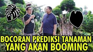 BOCORAN PREDIKSI TANAMAN YANG AKAN BOOMING!!