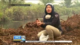 Selain Ulah Manusia, Tanah Gambut Sebabkan Kebakaran Hutan dan Lahan - IMS