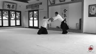 AIKIDO Shinbukan Dojo - promo