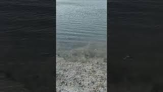 нам ветер не помеха. утренний клёв