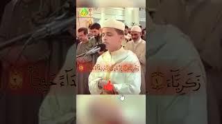 القرآن الكريم بصوت جميل جدا القارئ عبدالعزيز سحيم quran kareem beautiful recitation abdelaziz sheim