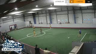 LOBITOS VS LA RAZA JR U10