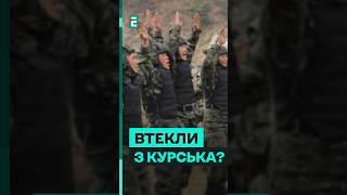 Чому військові КНДР раптово ЗНИКЛИ з поля бою? #еспресо #новини #війна