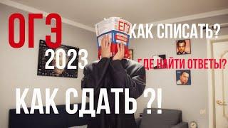 КАК СДАТЬ ОГЭ 2024? ГДЕ НАЙТИ ОТВЕТЫ?