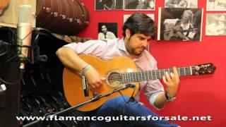 Gerundino Fernández 1976 flamenco guitar for sale played by Manuel Valencia