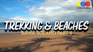 Trekking and Beaches in Bahía Solano Chocó – Traveling Colombia