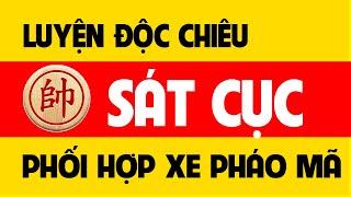 Cờ tướng khai cuộc hay - Độc chiêu Sát cục Xe Pháo Mã.