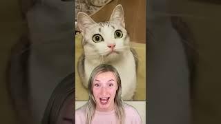 5 FACTS ABOUT CATS YOU DIDN'T KNOW!