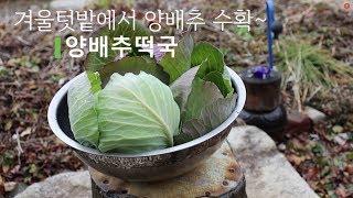 [Sub]  아삭 아삭 겨울양배추로 끓인 맛있는 야채떡국~!! / vegetarian dishes