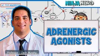 Autonomic Pharmacology | Adrenergic Agonists
