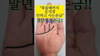 죽을때까지 돈걱정 안하고 사는 손금.말년운#말년복#말년부자손금#손금 #손금보는법 #손금보기