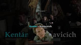 Kentán si udělal malou zastávku v Bradavicích#ulicnikshadankou #fantasy #hp #harrypotter