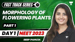 Morphology of Flowering Plants | Part 1 | Fast Track Revision NEET 2023 | Seep Pahuja