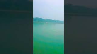 কুয়াশার বিকেল চাঁদপুর#shorts#viralreels#tiktok#shortvideo#amir Khondokar