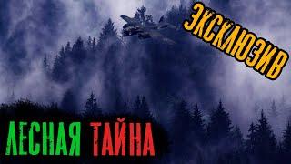 Страшные Истории - Лесная Тайна (Сергей Зимин) ЭКСКЛЮЗИВ