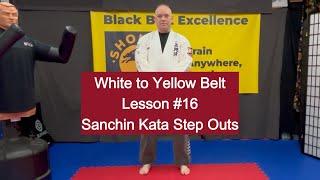 White to Yellow Belt Lesson 16 - Sanchin Kata Step Outs