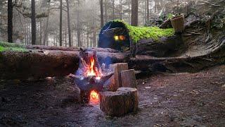 Building a Warm and Cozy Hollow in a fallen tree. Survival shelter building skills.