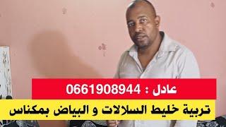 الحقيقة الكاملة لتربية خليط السلالات مع المربي عادل مدينة مكناس