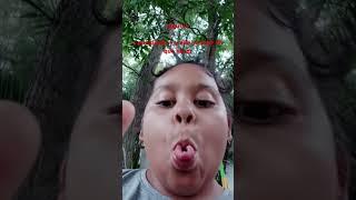 31 de mayo de 2025