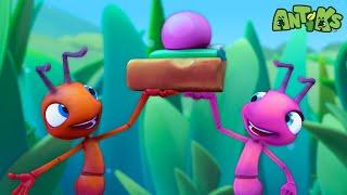 Cookie Rookies | 1 Hour of Antiks | Funny Adventure Cartoons for Kids | Be Brave!