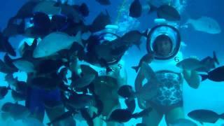 AQUANAUTAS DEA Y ASTRUM 2