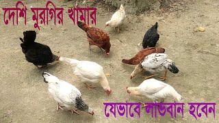 দেশি মুরগির খামার। Desi murgir Khamar.