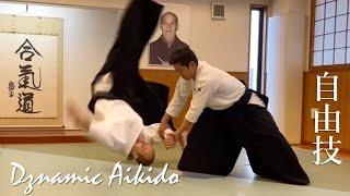 Amazing Aikido Flow - Koma Akimitsu