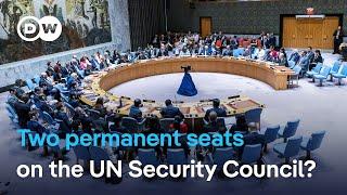 African leaders want UN Security Council reform | DW News